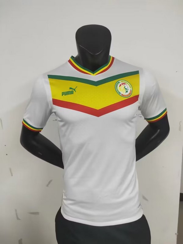 2022 Senegal home